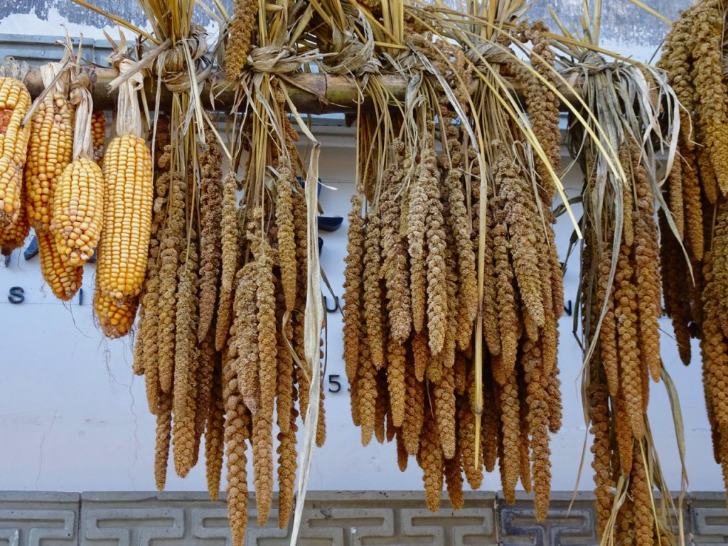 CHINA-2017-16-100 CHINA-2017-16-100