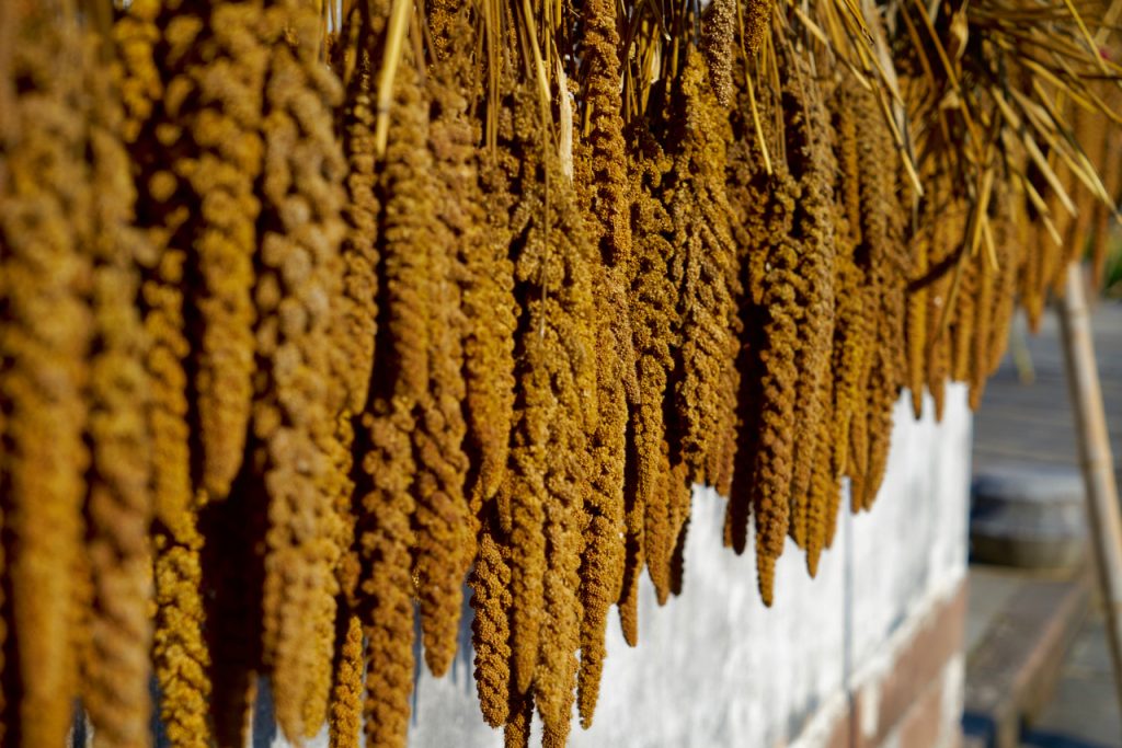 CHINA-2017-16-106 CHINA-2017-16-106