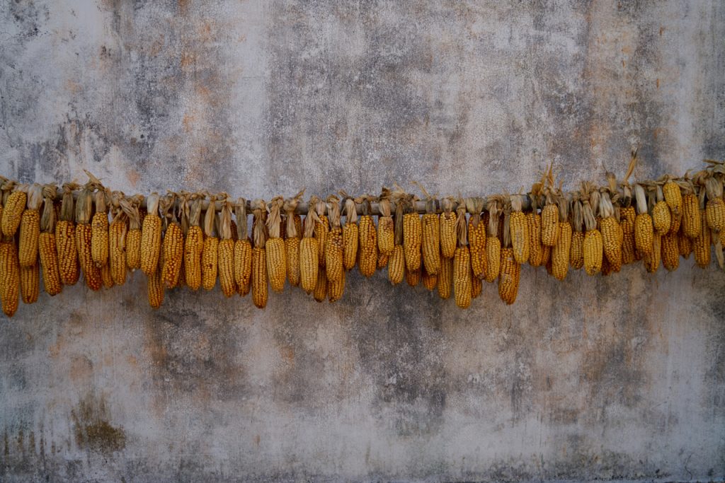 CHINA-2017-16-107 CHINA-2017-16-107