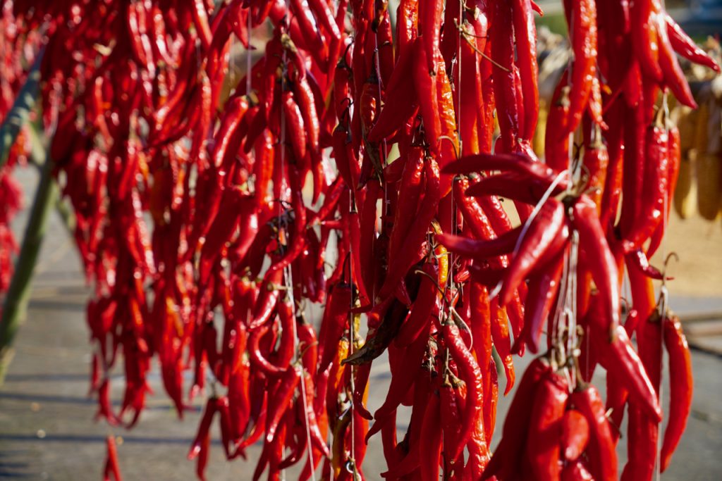 CHINA-2017-16-109 CHINA-2017-16-109
