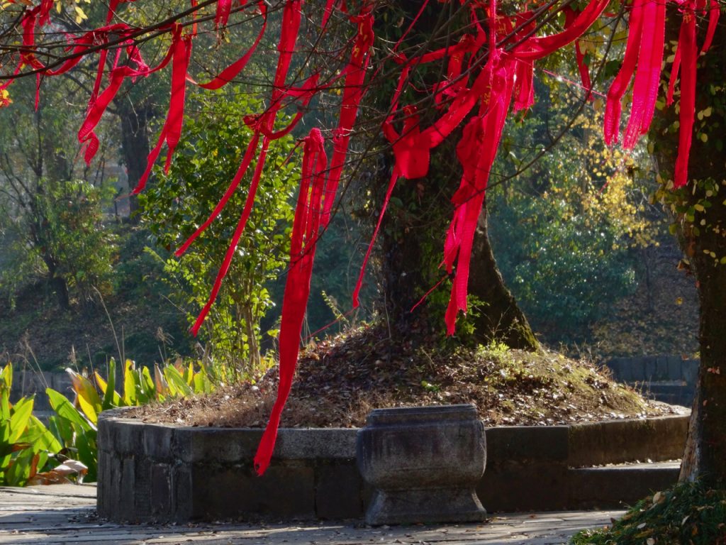 CHINA-2017-16-122 CHINA-2017-16-122