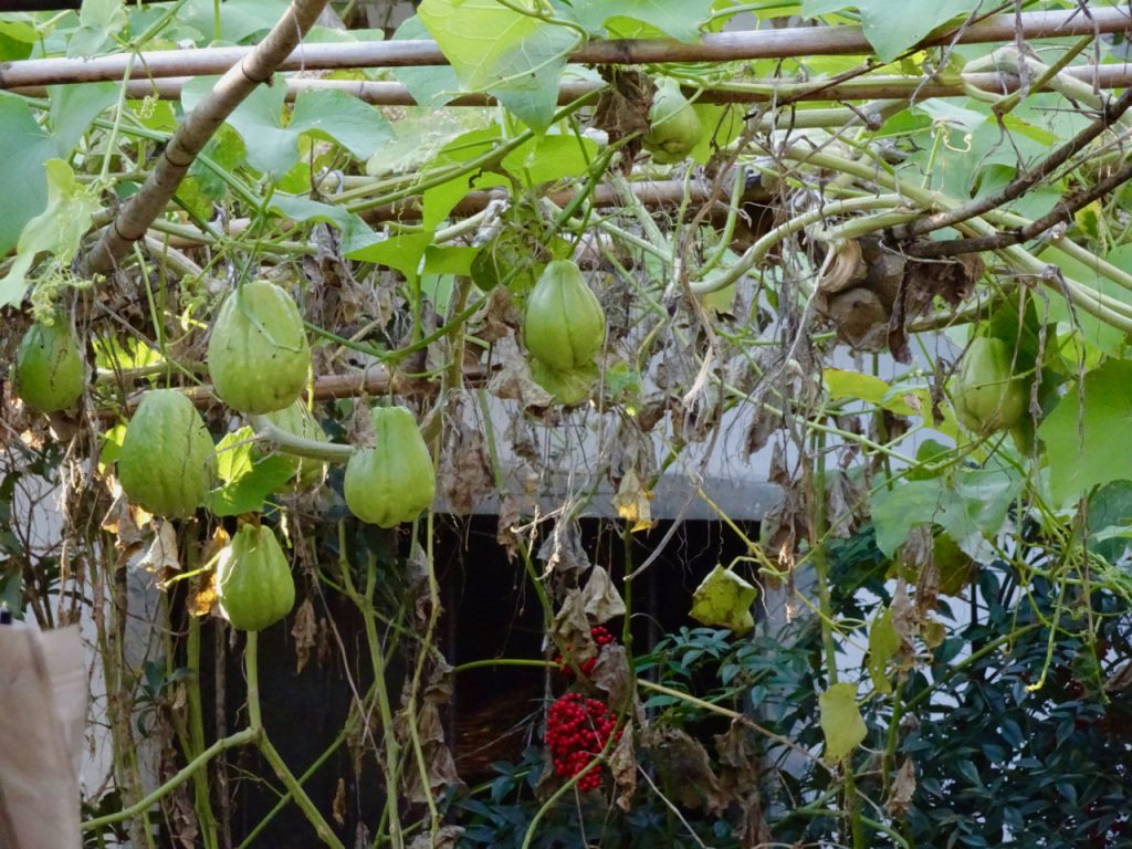 CHINA-2017-16-162 CHINA-2017-16-162