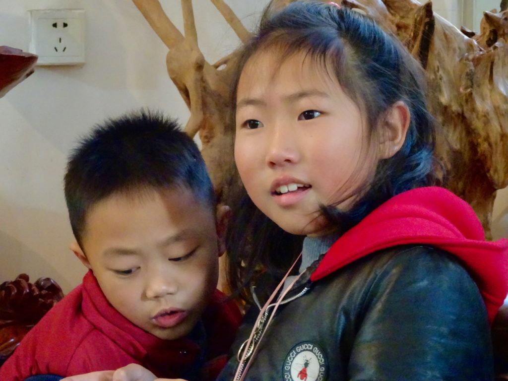 CHINA-2017-16-179 CHINA-2017-16-179