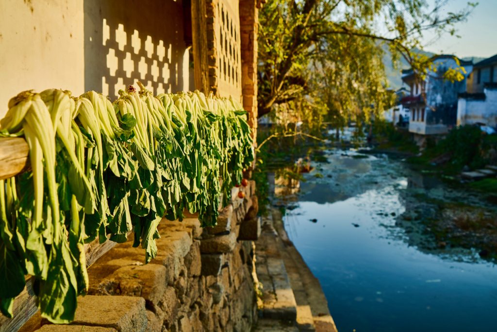 CHINA-2017-16-186 CHINA-2017-16-186