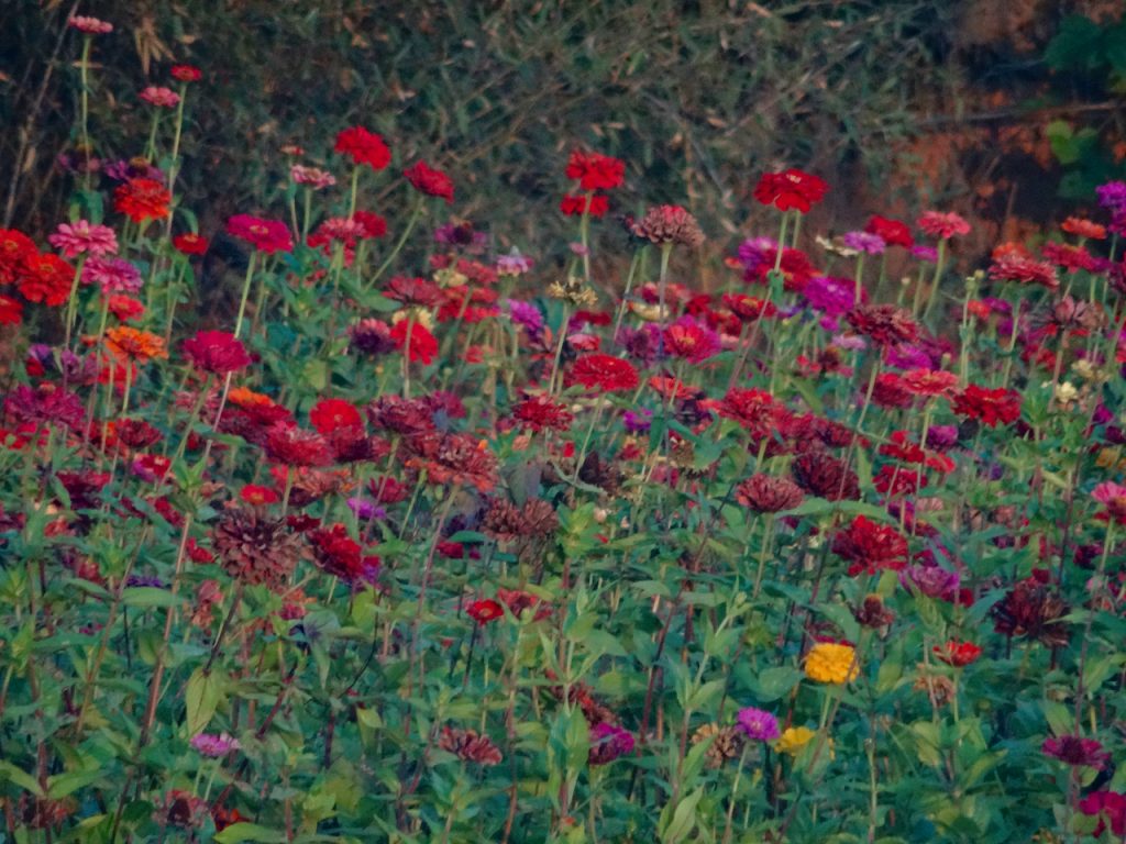 CHINA-2017-16-200 CHINA-2017-16-200