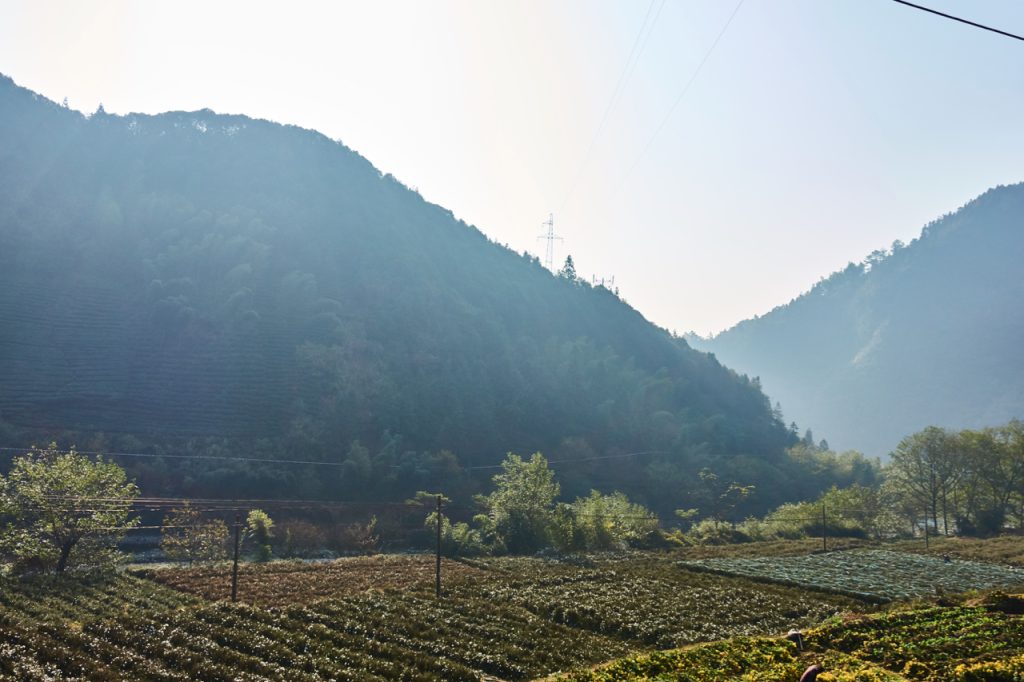 CHINA-2017-17-020 CHINA-2017-17-020