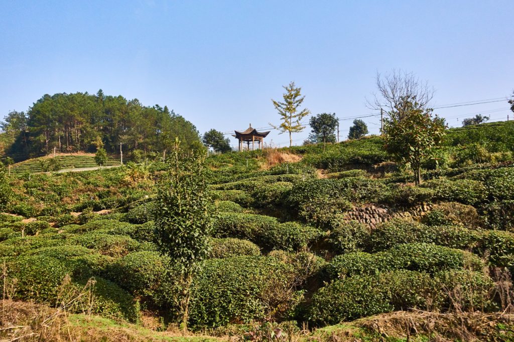 CHINA-2017-17-025 CHINA-2017-17-025