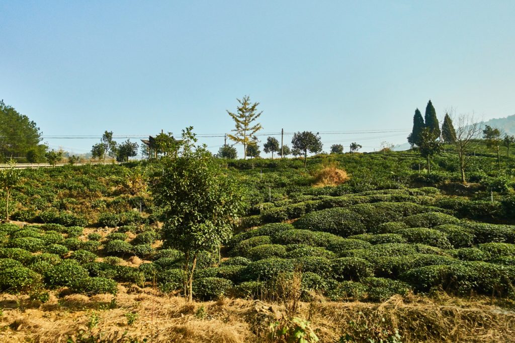 CHINA-2017-17-026 CHINA-2017-17-026
