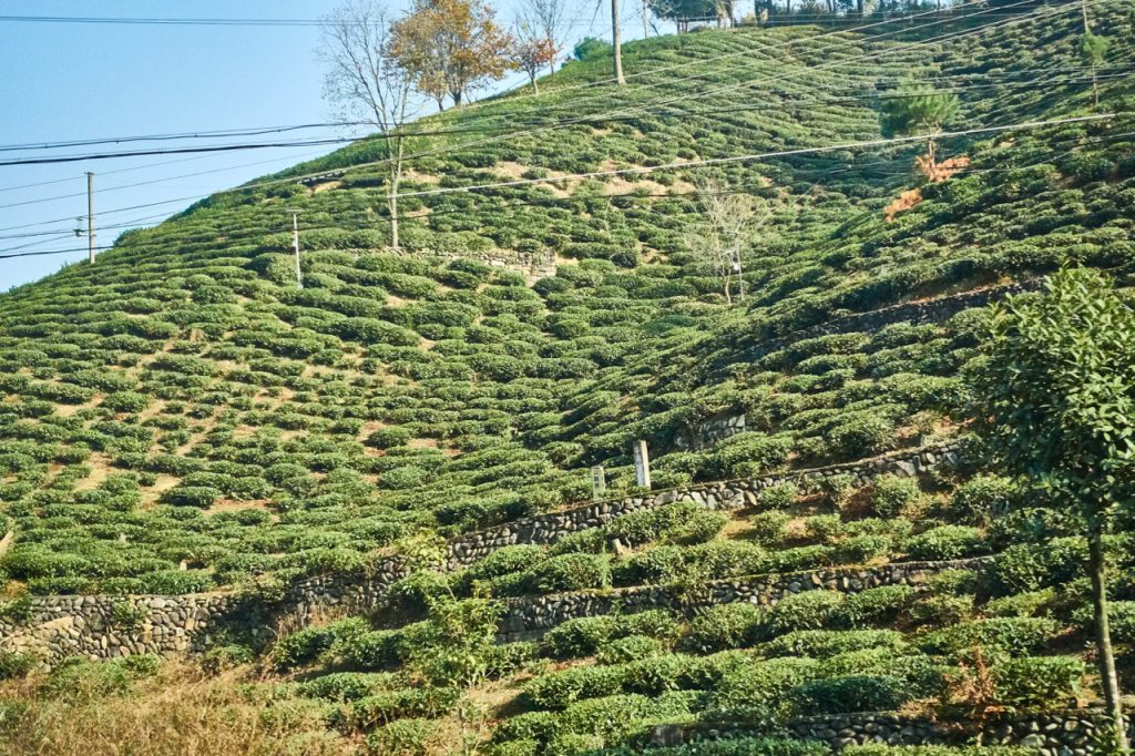 CHINA-2017-17-027 CHINA-2017-17-027