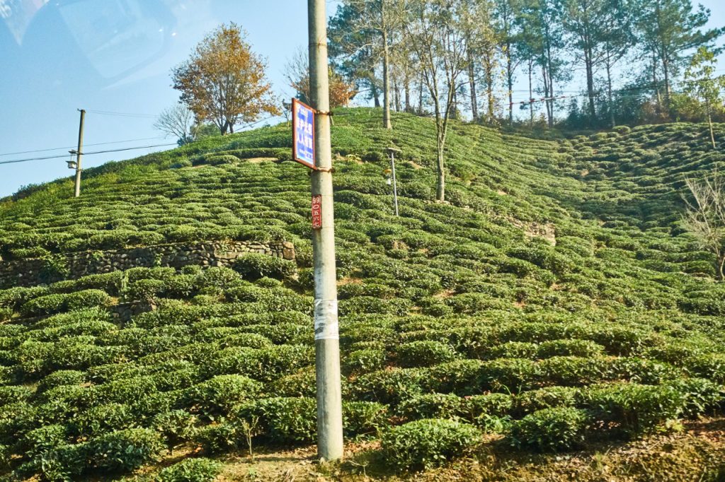 CHINA-2017-17-028 CHINA-2017-17-028