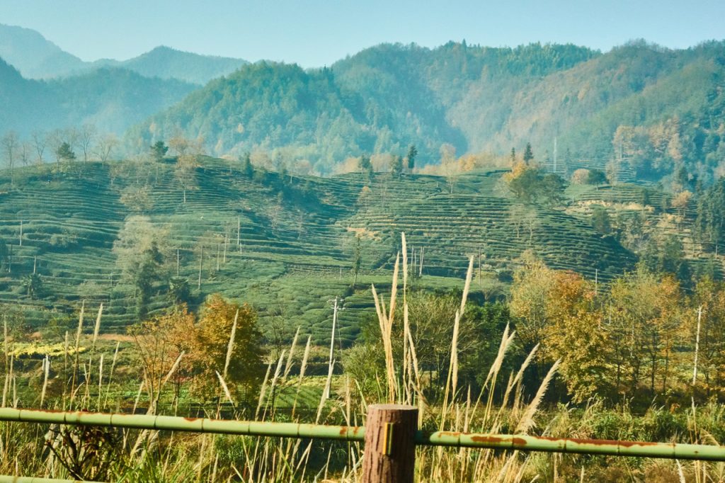 CHINA-2017-17-031 CHINA-2017-17-031