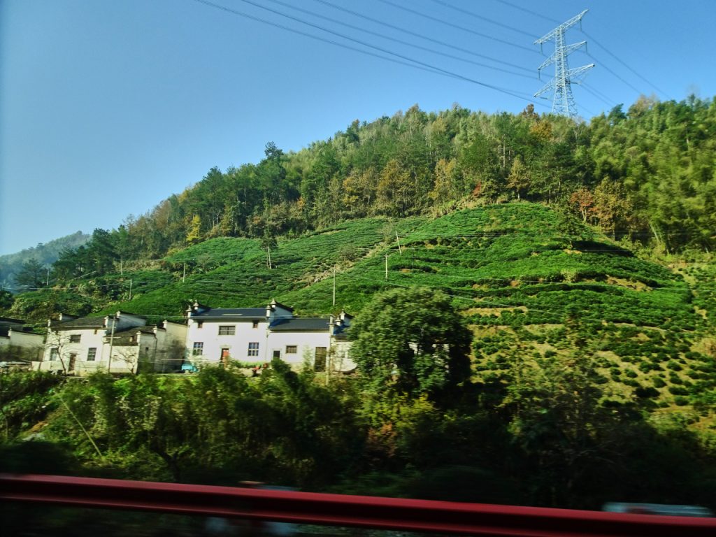 CHINA-2017-17-036 CHINA-2017-17-036