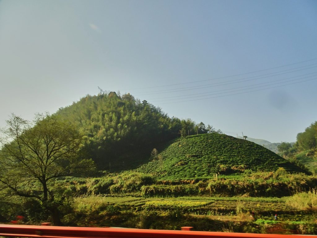 CHINA-2017-17-037 CHINA-2017-17-037