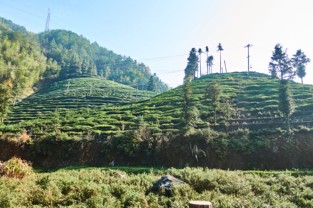 CHINA-2017-17-041 CHINA-2017-17-041