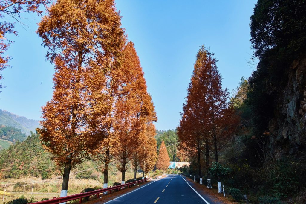 CHINA-2017-17-045 CHINA-2017-17-045