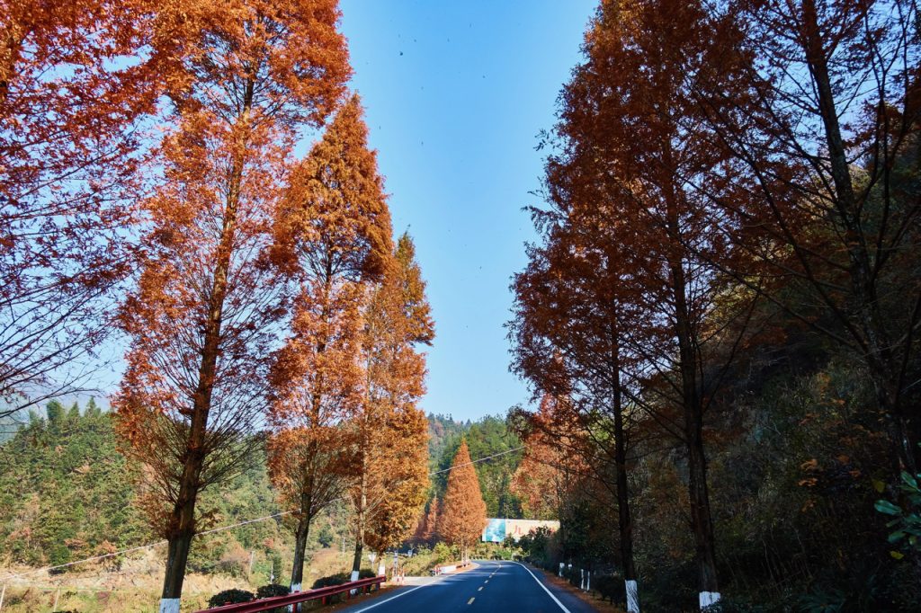 CHINA-2017-17-046 CHINA-2017-17-046