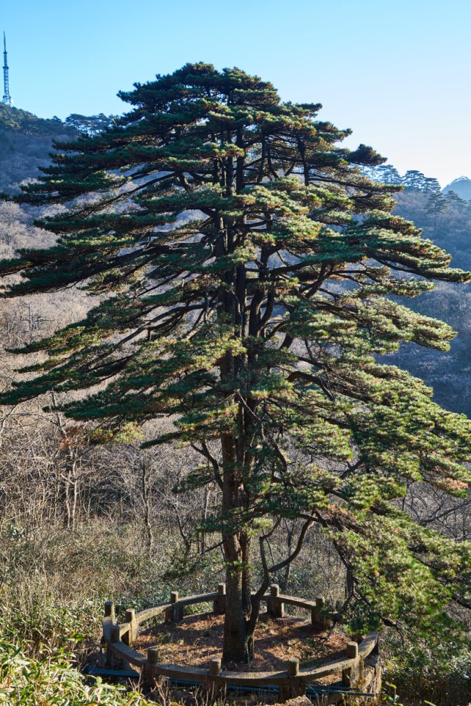 CHINA-2017-17-111 CHINA-2017-17-111