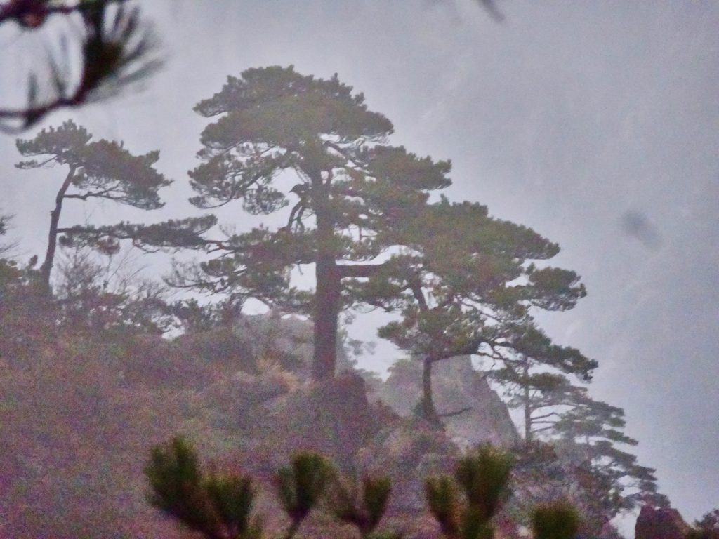 CHINA-2017-18-006 CHINA-2017-18-006