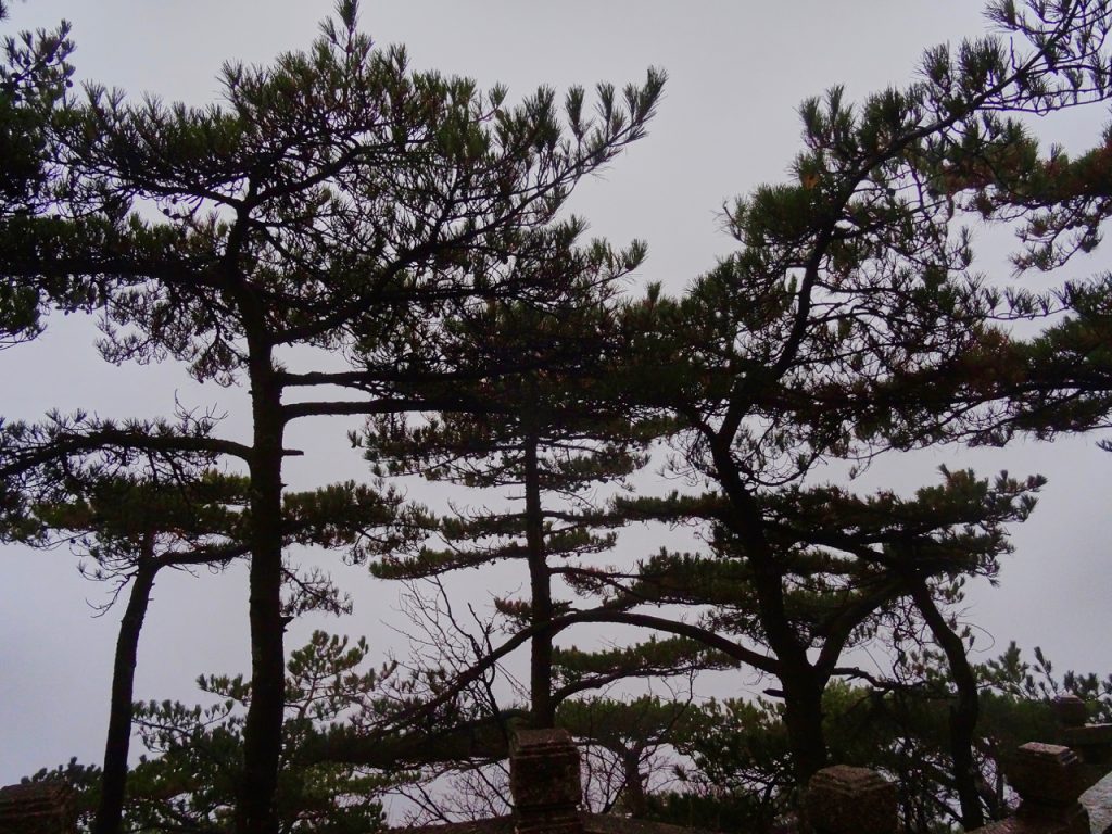 CHINA-2017-18-007 CHINA-2017-18-007