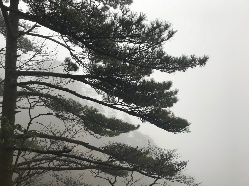 CHINA-2017-18-018 CHINA-2017-18-018