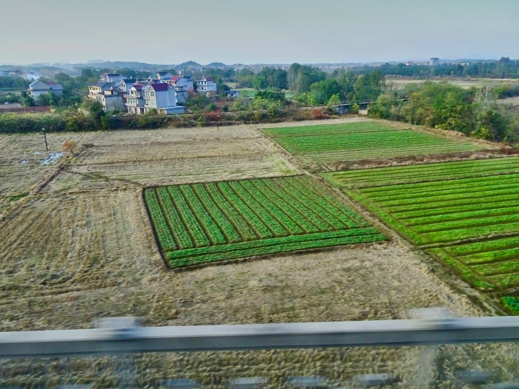 CHINA-2017-18-044 CHINA-2017-18-044