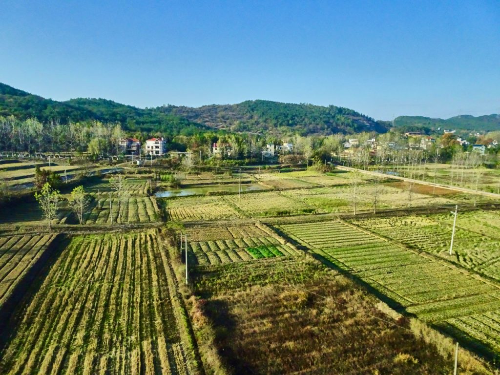 CHINA-2017-18-046 CHINA-2017-18-046