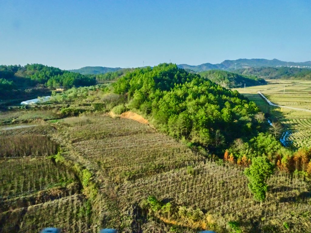 CHINA-2017-18-049 CHINA-2017-18-049