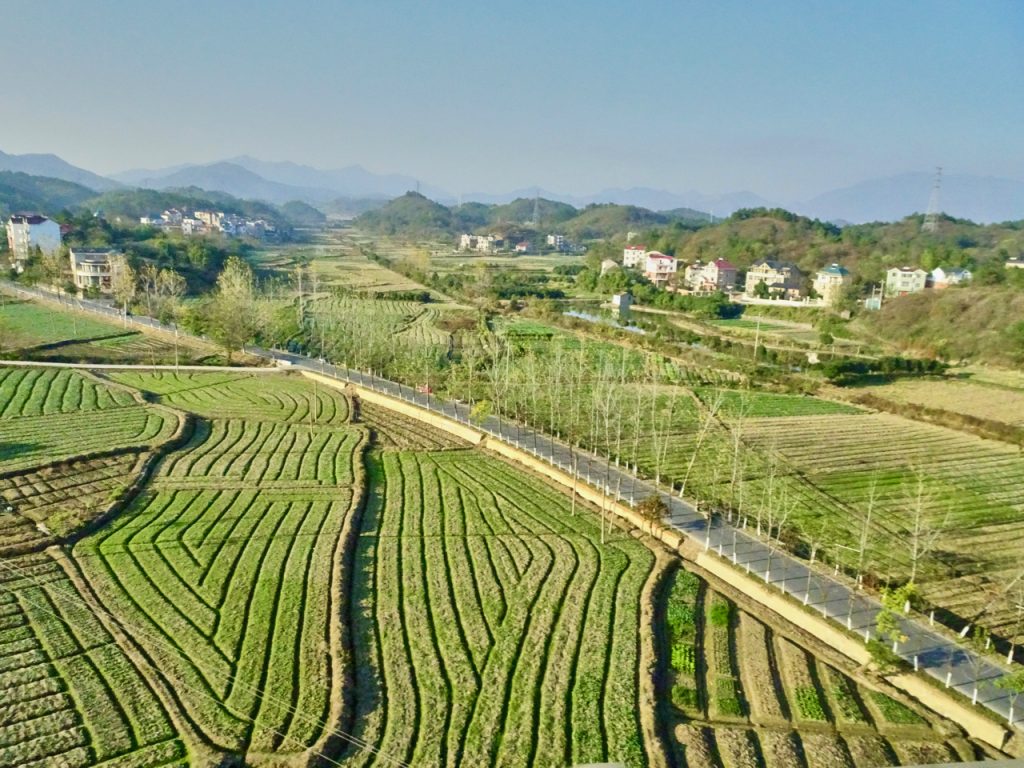 CHINA-2017-18-056 CHINA-2017-18-056