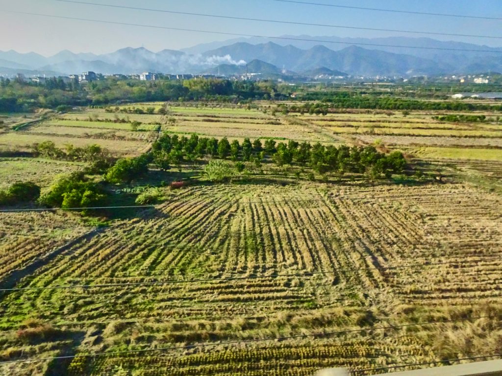 CHINA-2017-18-061 CHINA-2017-18-061