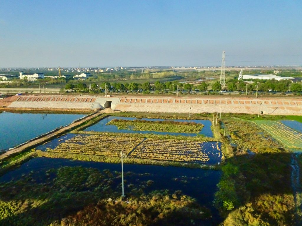 CHINA-2017-18-071 CHINA-2017-18-071