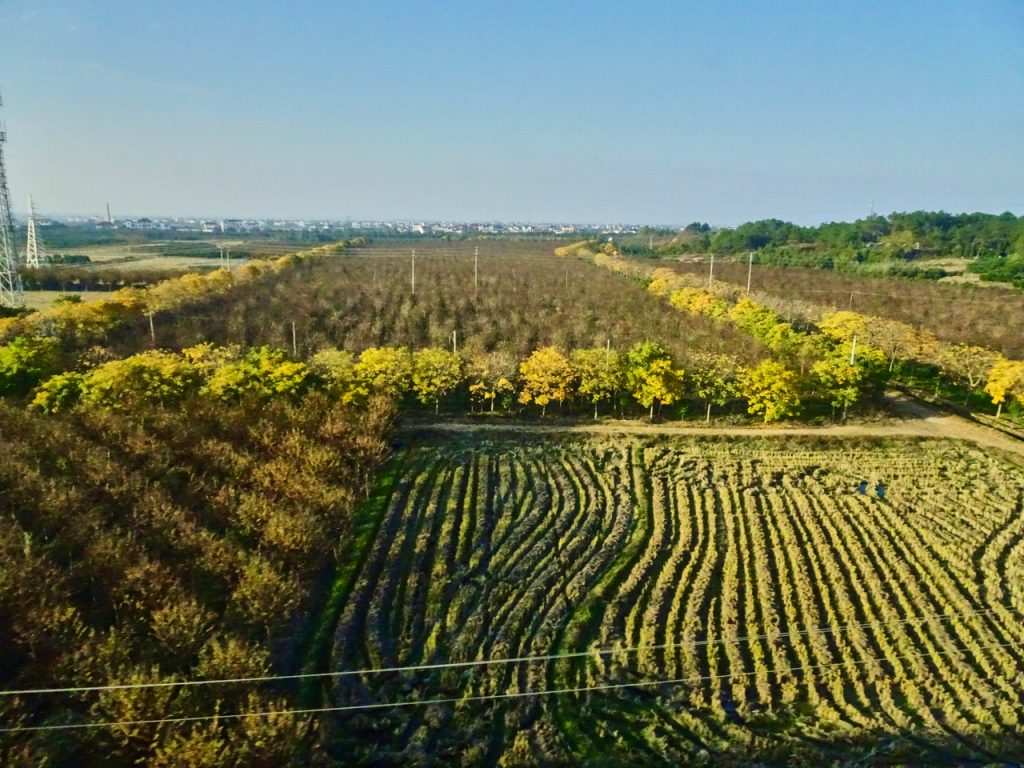 CHINA-2017-18-073 CHINA-2017-18-073
