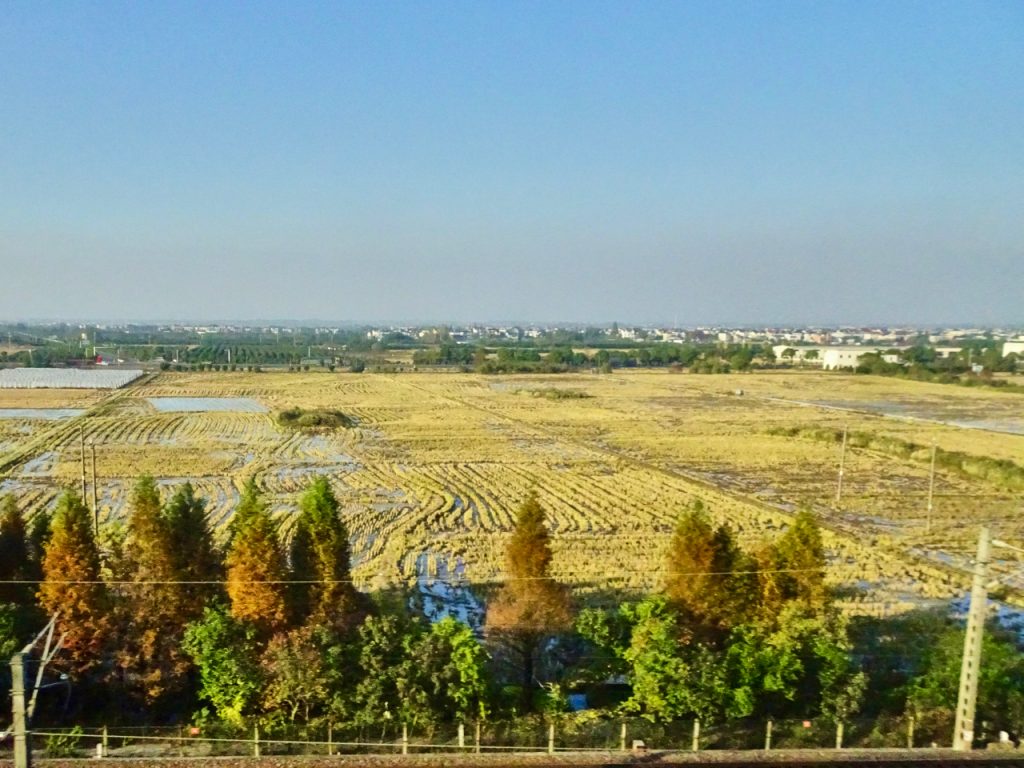 CHINA-2017-18-076 CHINA-2017-18-076
