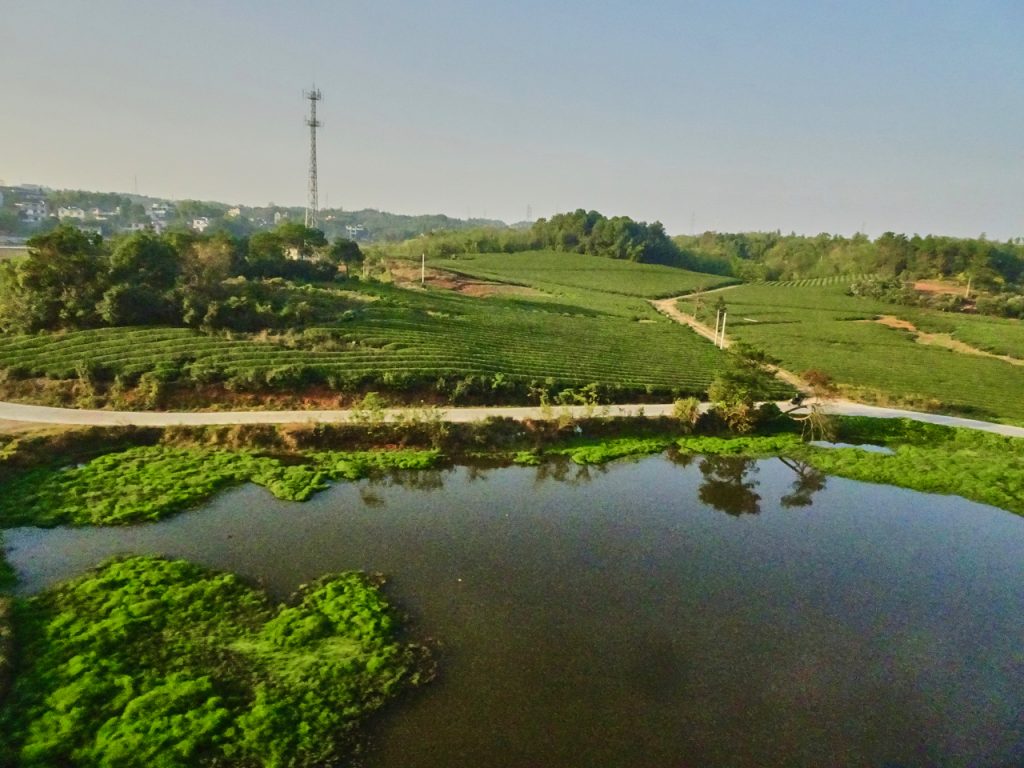 CHINA-2017-18-082 CHINA-2017-18-082