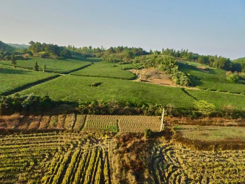 CHINA-2017-18-083 CHINA-2017-18-083