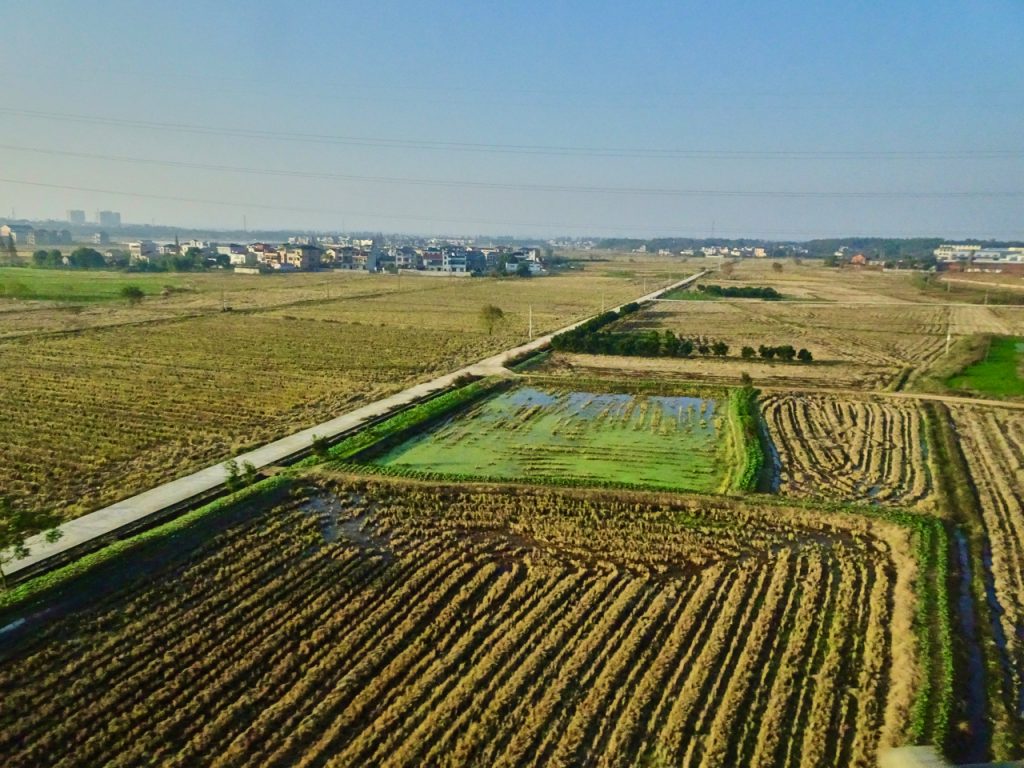 CHINA-2017-18-087 CHINA-2017-18-087