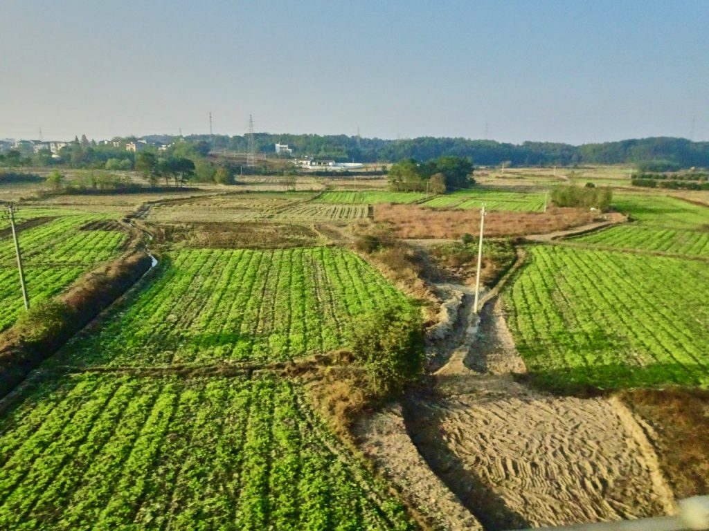 CHINA-2017-18-088 CHINA-2017-18-088