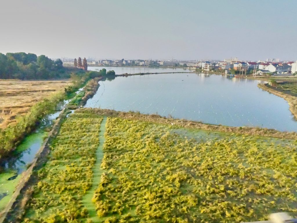 CHINA-2017-18-089 CHINA-2017-18-089