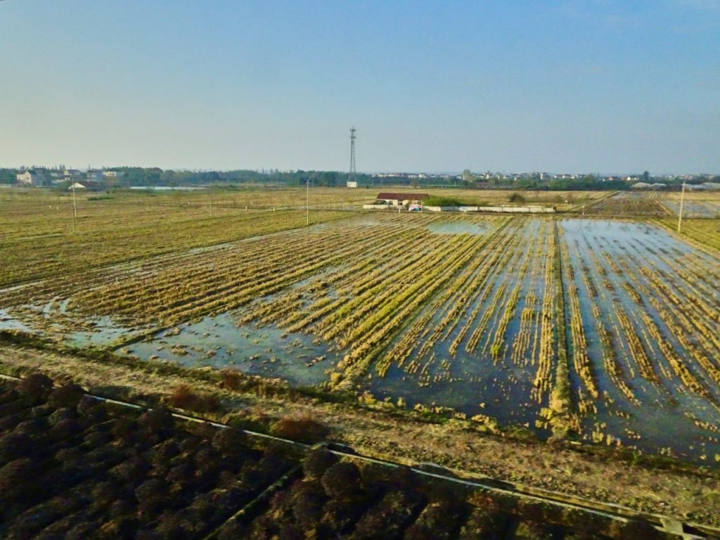 CHINA-2017-18-091 CHINA-2017-18-091