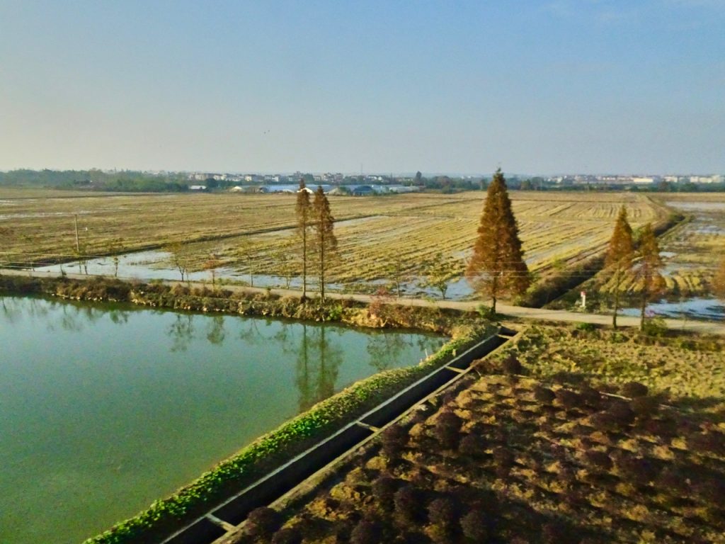 CHINA-2017-18-092 CHINA-2017-18-092