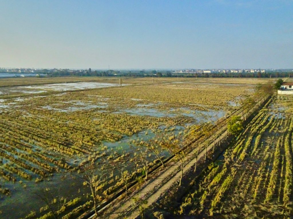 CHINA-2017-18-093 CHINA-2017-18-093