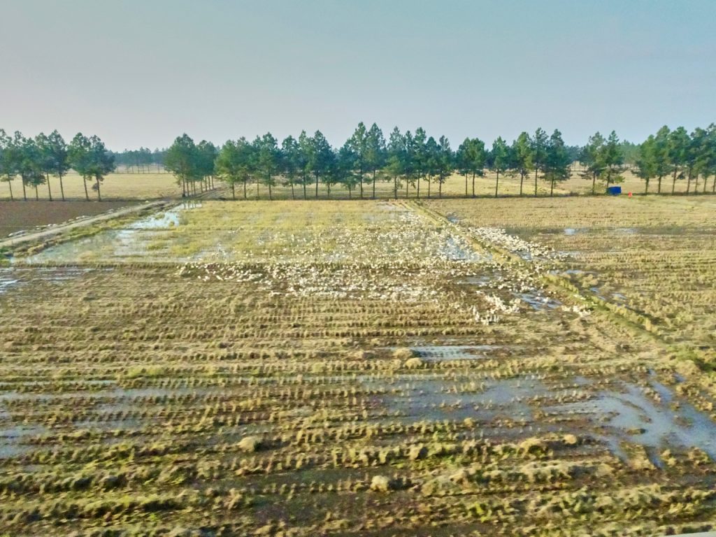 CHINA-2017-18-097 CHINA-2017-18-097