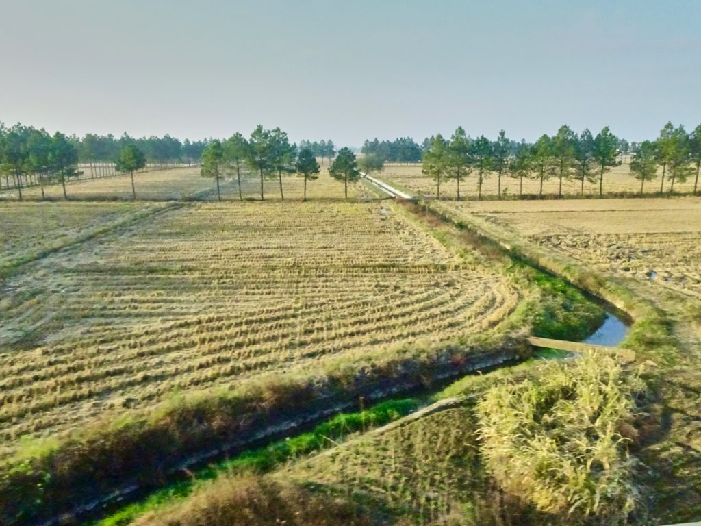 CHINA-2017-18-098 CHINA-2017-18-098