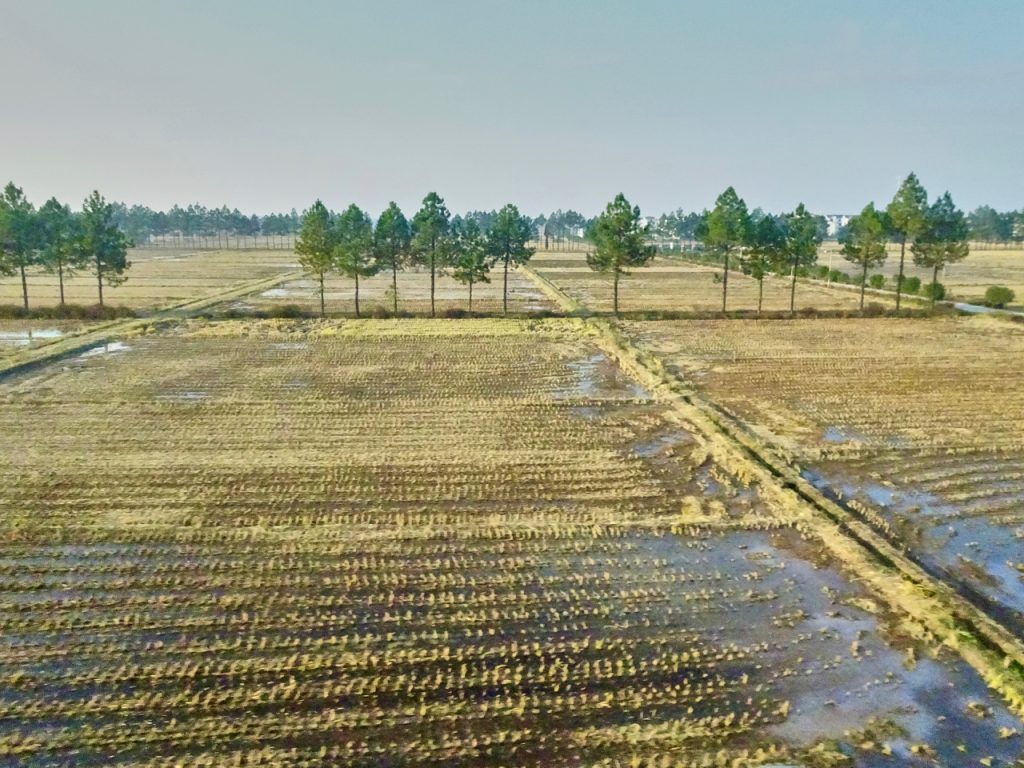 CHINA-2017-18-099 CHINA-2017-18-099