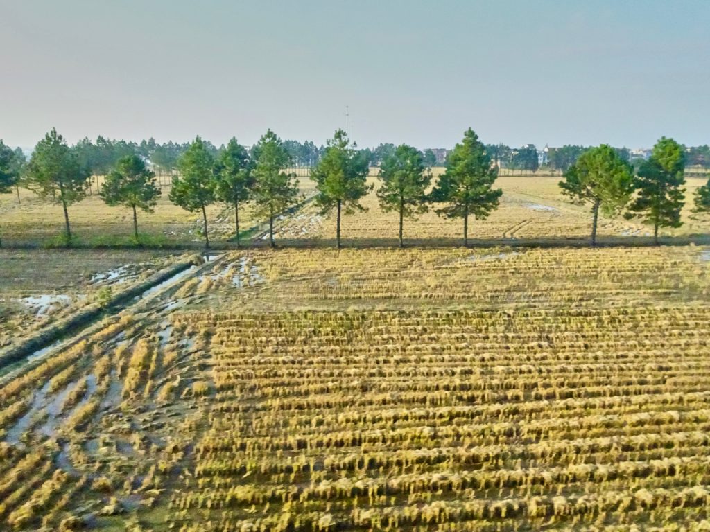 CHINA-2017-18-100 CHINA-2017-18-100