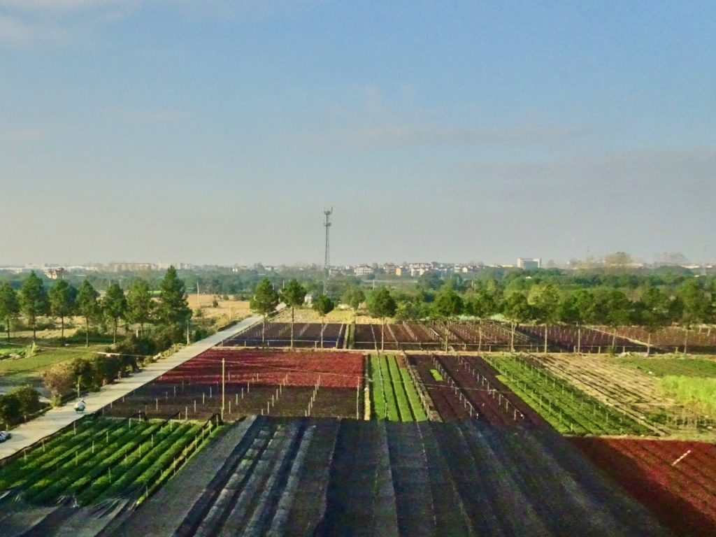 CHINA-2017-18-102 CHINA-2017-18-102