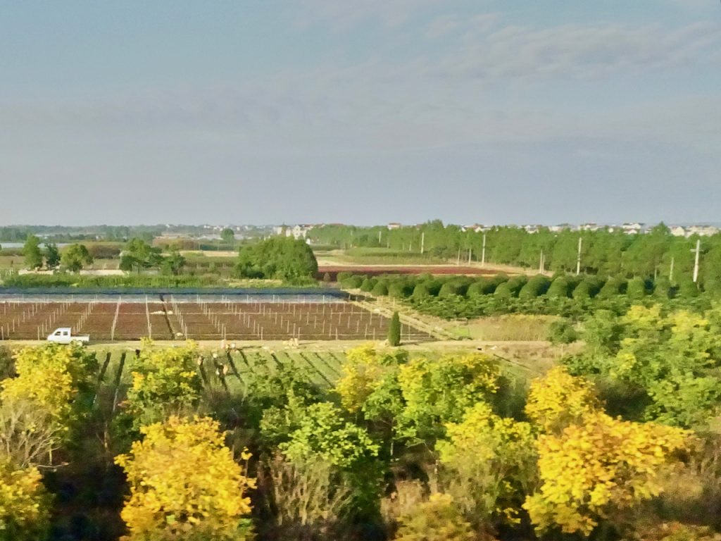 CHINA-2017-18-107 CHINA-2017-18-107