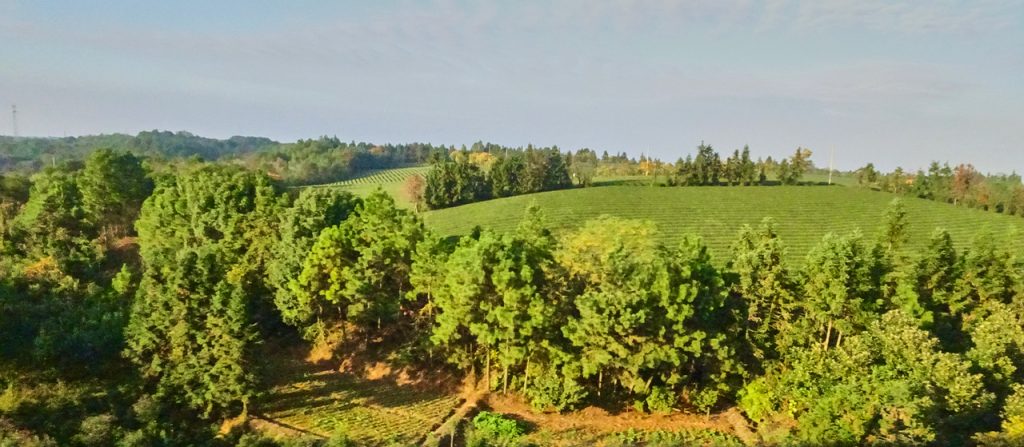 CHINA-2017-18-111 CHINA-2017-18-111
