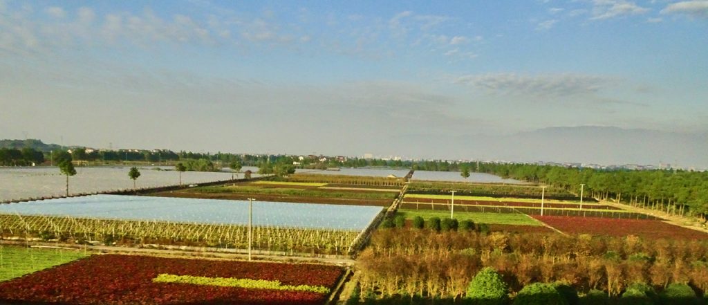 CHINA-2017-18-114 CHINA-2017-18-114