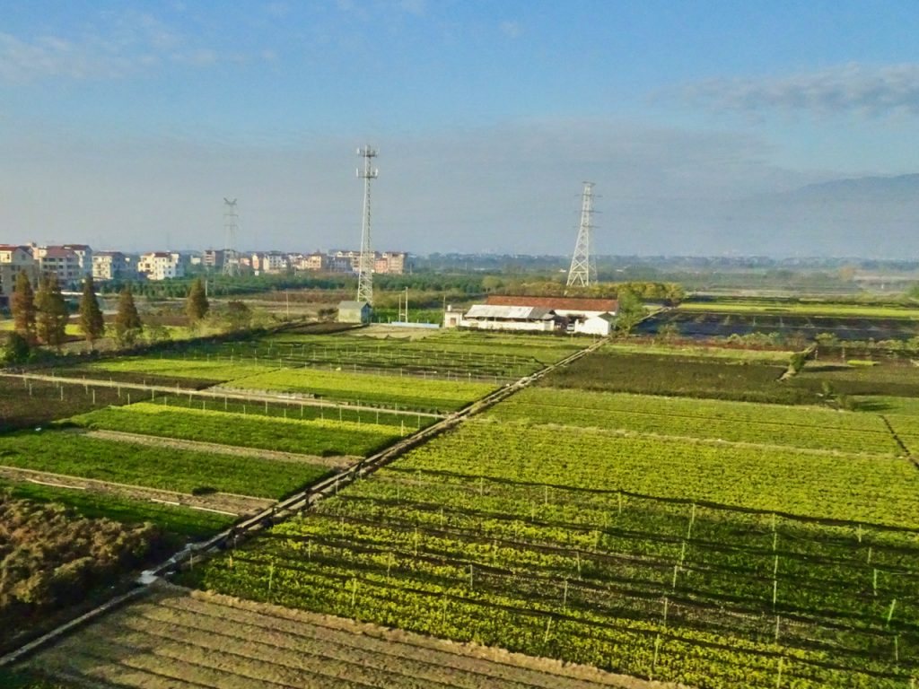 CHINA-2017-18-116 CHINA-2017-18-116