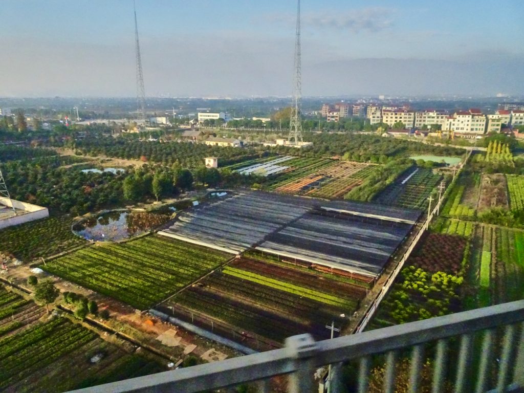 CHINA-2017-18-117 CHINA-2017-18-117